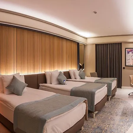 Отель Bayir Diamond & Convention Center